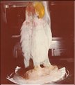 1983 Perroquet en glace.JPG