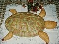 1988 Ambassadeur Tortue JPS.JPG