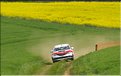 Aux08 028 D Bruyneel.JPG