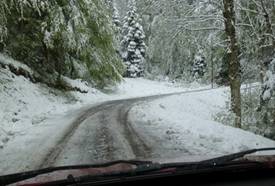 Epine13-2NeigeJP.jpg