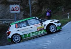 Valais2014-3Wiegand-AM-Pt.JPG