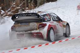 MtC13-1Ds-Loeb-Epg-059CBpt