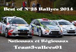 Bestof14-2RallyReg-Pt.jpg